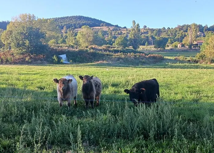 A La Ferme De La Marette